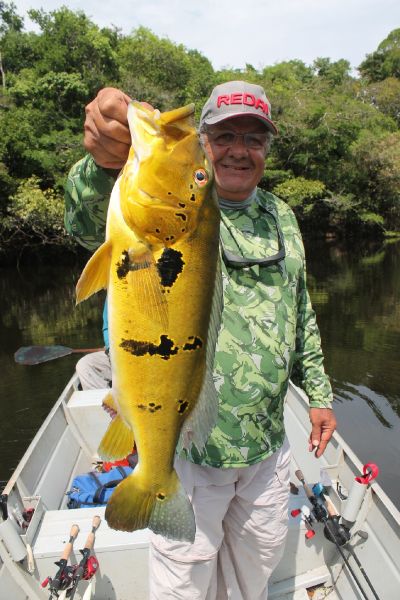 Roberto Véras 's Fly-fishing Picture of a Peacock Bass – Fly dreamers 