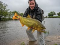 8.5kg (19lb) Golden Dorado