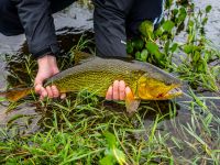 Fly fishing picture