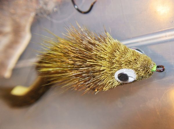 Fly-tying for Pike - Photo shared by François Nadeau – Fly dreamers 