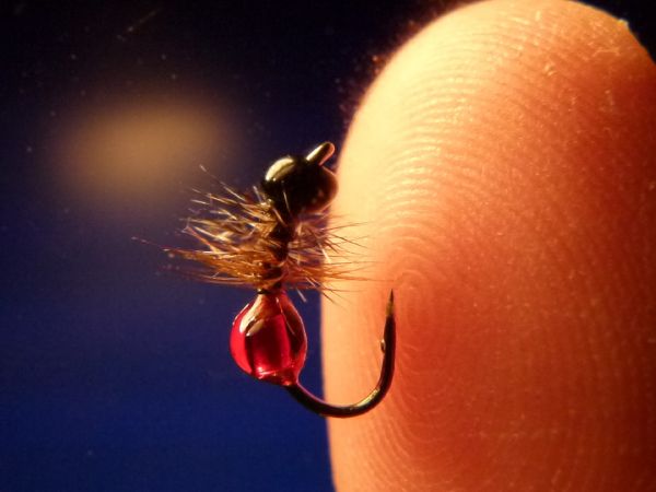 Fly-tying for Rainbow trout - Pic by Carlos Estrada 