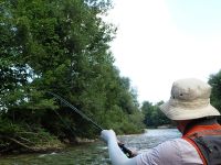 Savinja River is managed by Angling Club Ljubno
Urko Fishing Adventures