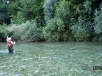 Savinja River is managed by Angling Club Ljubno
Urko Fishing Adventures