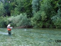 Savinja River is managed by Angling Club Ljubno
Urko Fishing Adventures