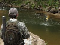 Fly fishing picture