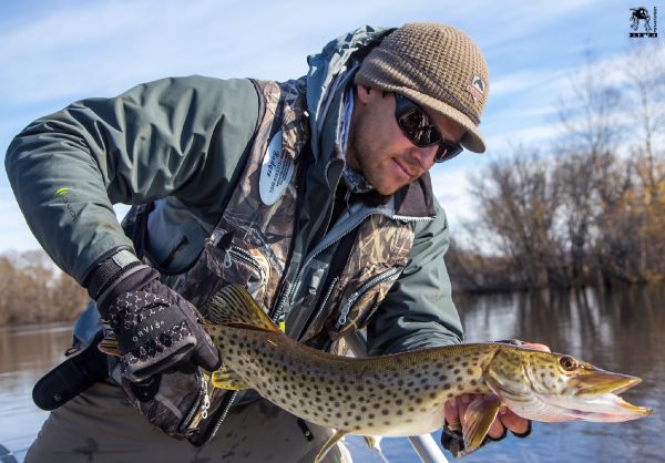 Black Fly Eyes Flyfishing 's Fly-fishing Catch of a Pike – Fly dreamers 