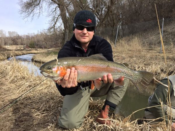 Colton Holden 's Fly-fishing Picture of a Rainbow trout – Fly dreamers 