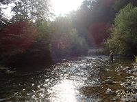 Selška Sora River is managed by Angling Club Železniki
Urko Fishing Adventures