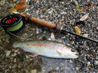 Selška Sora River is managed by Angling Club Železniki
Urko Fishing Adventures