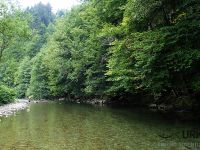 Selška Sora River is managed by Angling Club Železniki
Urko Fishing Adventures