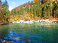 Fly fishing picture