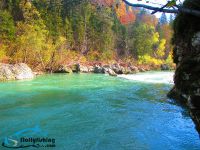 Fly fishing picture