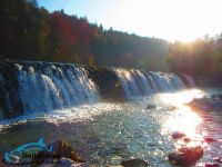 Fly fishing picture