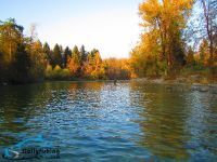 Fly fishing picture