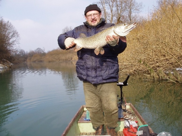 Pike 102cm long, Ljubljanica river, RD Vrhnika, C&amp;R, fly fishing