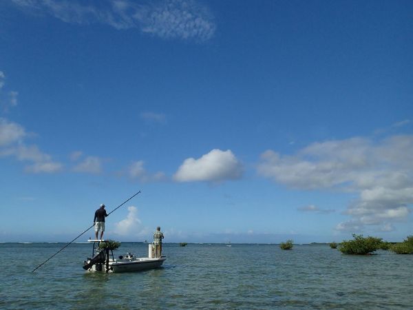 Good Fly-fishing Situation of Bonefish - Image shared by Jesse Cheape – Fly dreamers