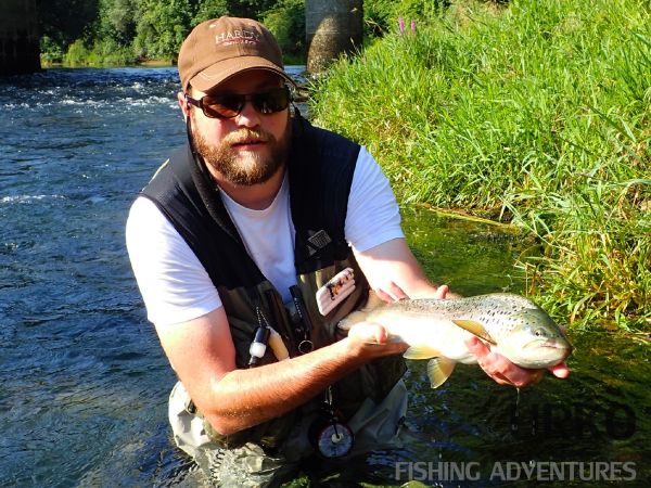 Fly-fishing Situation of Brownie shared by Uros Kristan 