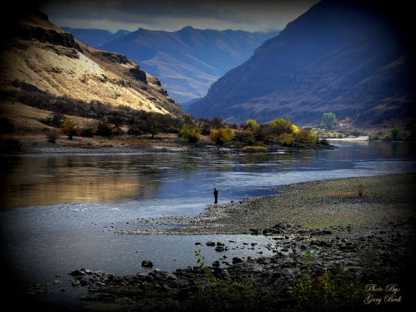 Fly-fishing Situation of Steelhead - Image shared by Gary Beck – Fly dreamers