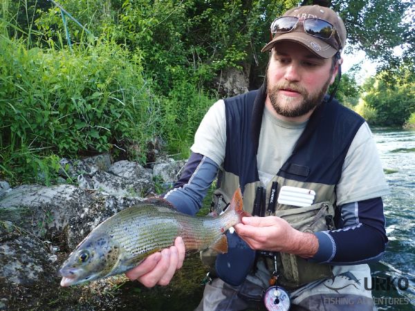 Uros Kristan 's Fly-fishing Catch of a Thymallus arcticus – Fly dreamers 