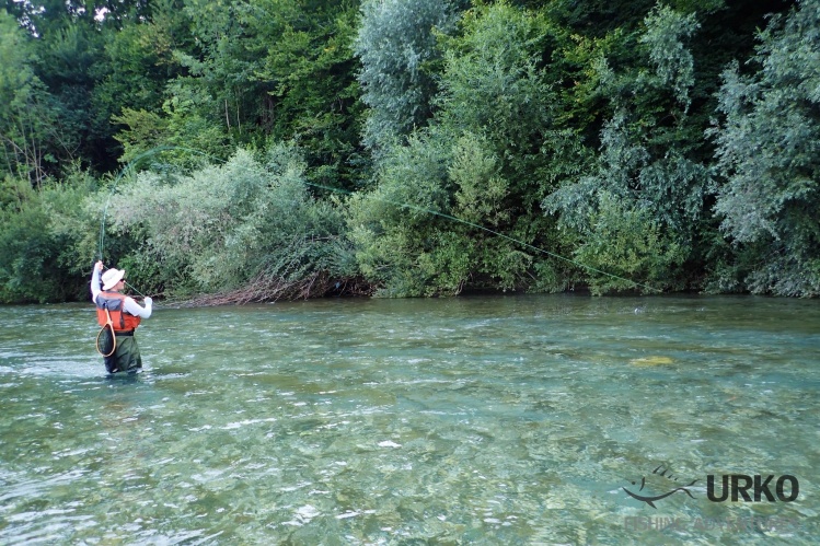 Strike ... Savinja river (Angling Club Ljubno)