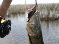 Foto de pesca con mosca