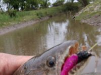 Foto de pesca con mosca