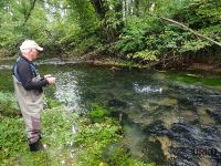 Urko Fishing Adventures
Bistra River is managed by Angling Club Vrhnika