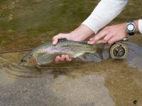 Foto de pesca con mosca