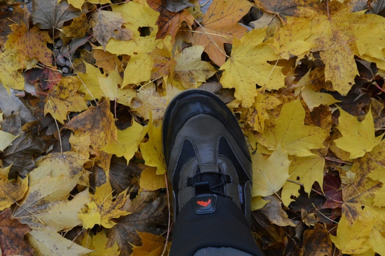 Boot on leaves