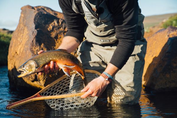 Cool Fly-fishing Situation of Arctic Char - Photo shared by Brothers On The Fly – Fly dreamers 