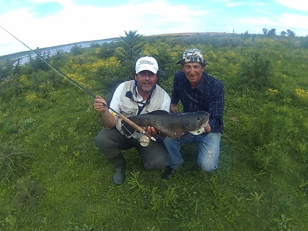Gustavo Somosa 's Fly-fishing Picture of a Wolf Fish – Fly dreamers 
