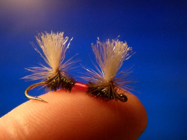 Fly-tying for Rainbow trout - Picture shared by Carlos Estrada – Fly dreamers