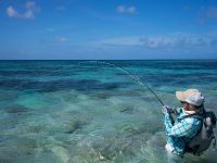 Fly fishing picture