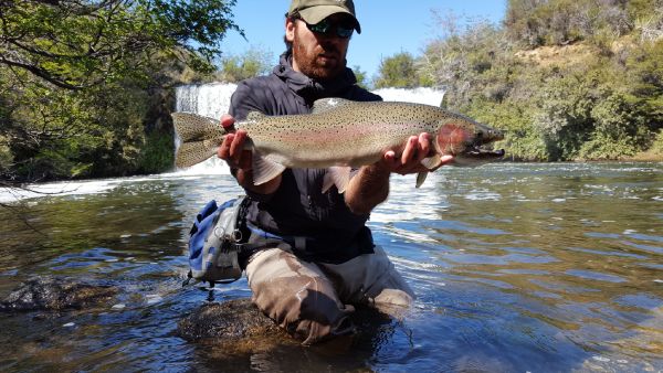 Diego Soto 's Fly-fishing Pic of a Rainbow trout – Fly dreamers 