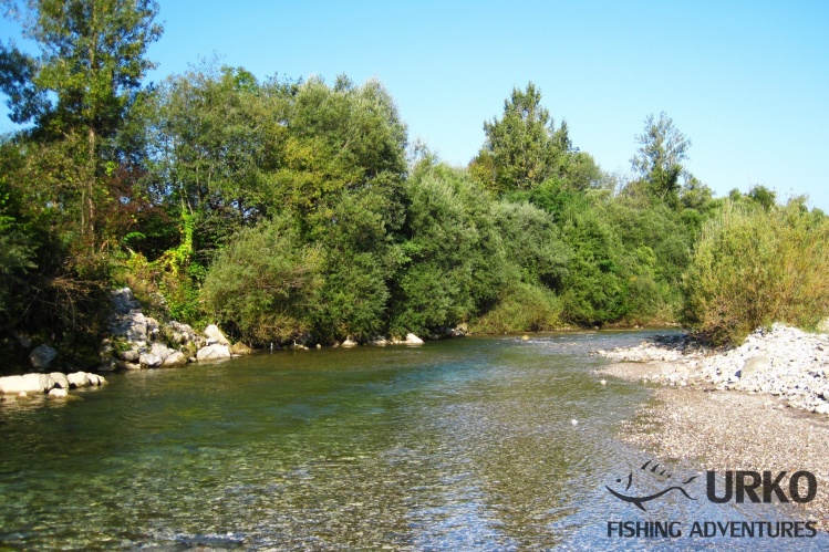 Savinja river (Angling Club Mozirje)