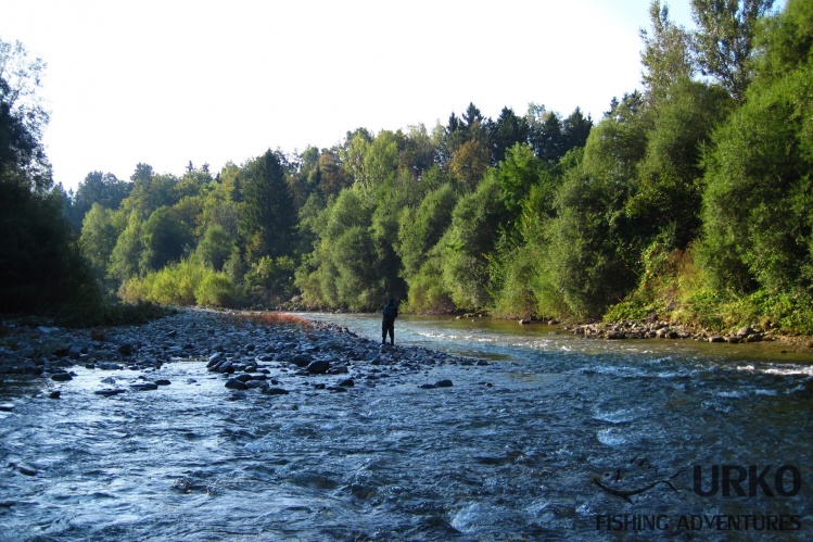 Savinja river (Angling Club Mozirje)