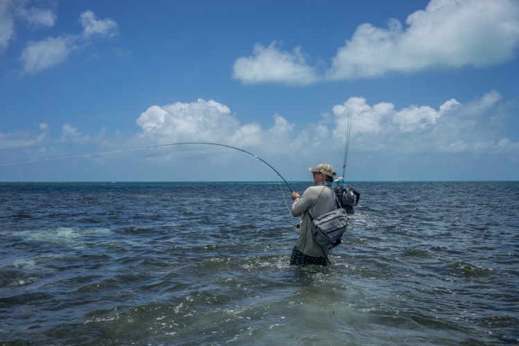 Farquhar Island, Seychelles - Fly fishing Photos | Fly dreamers