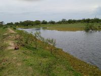 Foto de pesca con mosca