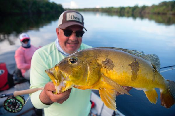 Roberto Véras 's Fly-fishing Catch of a Peacock Bass – Fly dreamers 