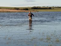 Foto de pesca con mosca