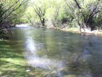 Fly fishing picture