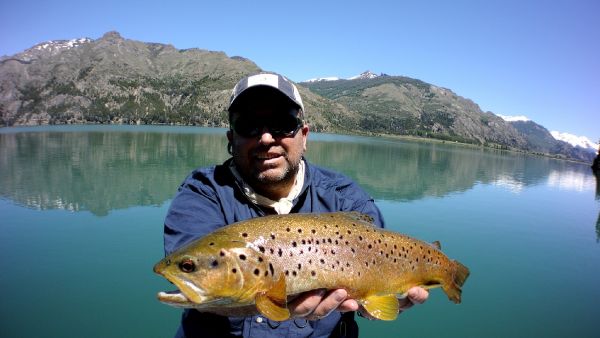 Chelo . 's Fly-fishing Photo of a European brown trout – Fly dreamers 