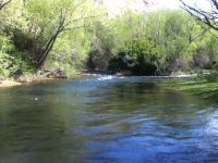 Fly fishing picture