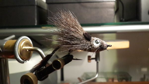 Fly-tying for Wolf Fish - Photo shared by Gonzalo Fernandez – Fly dreamers 