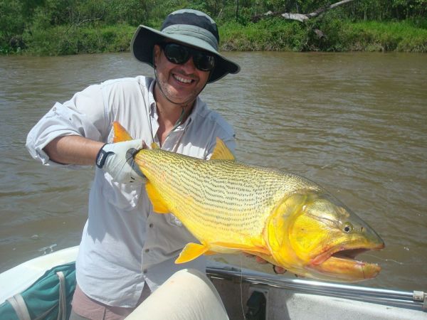 River tiger Fly-fishing Situation – Marcelo Pablo Costa shared this Pic in Fly dreamers 