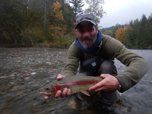 Fly-fishing Image of Rainbow trout shared by Bryan Pitre – Fly dreamers