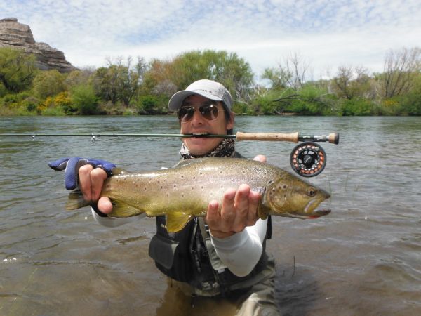 Browns Fly-fishing Situation – Fernando Montes from Chimehuìn River shared this Interesting Image in Fly dreamers 
