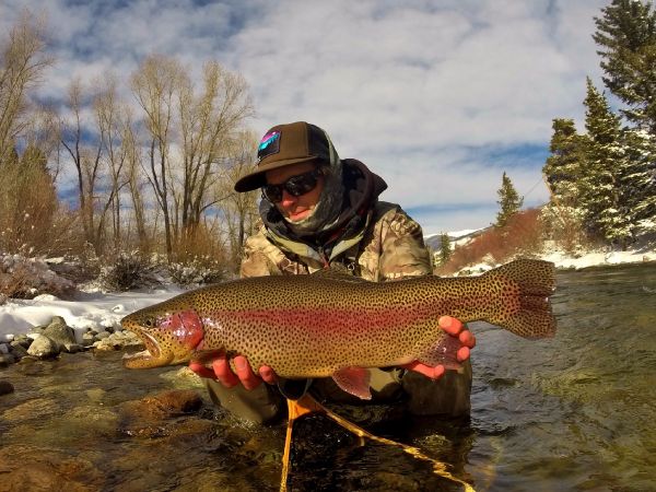 Daniel Macalady 's Fly-fishing Catch of a Rainbow trout – Fly dreamers 