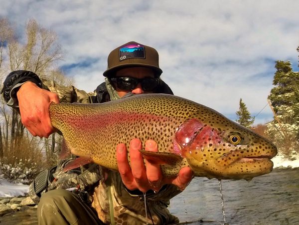 Daniel Macalady 's Fly-fishing Pic of a Rainbow trout – Fly dreamers 