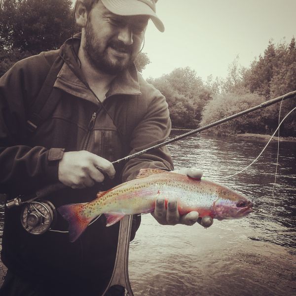 Fly-fishing Picture of Rainbow trout shared by Alejandro Mora – Fly dreamers